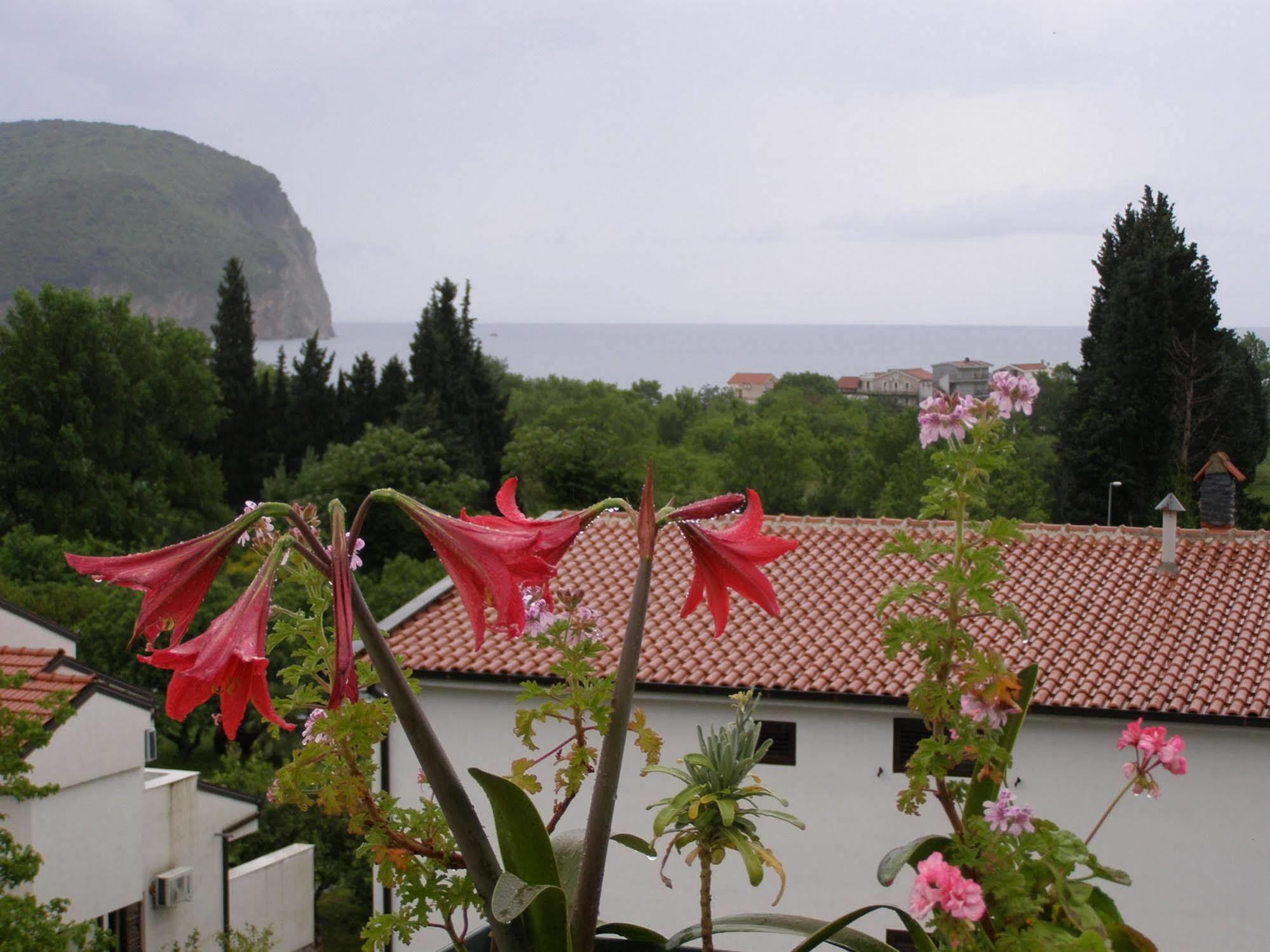 Hotel Wellness & Spa Angelo Gabriel Petrovac Exterior photo